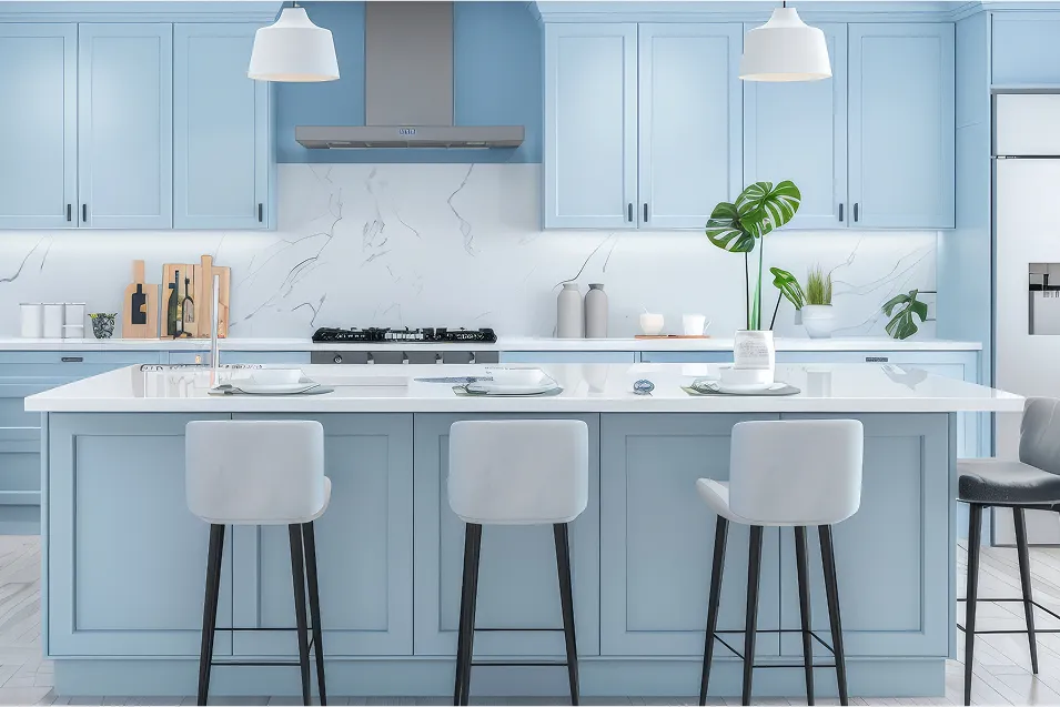 Kitchen illustration
